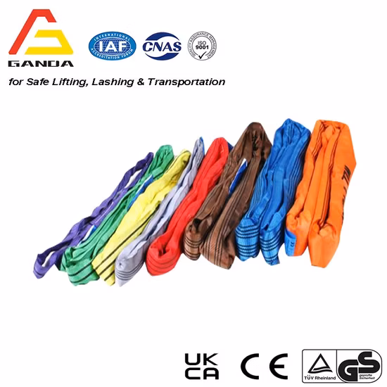 Eslinga redonda sin fin Eslinga redonda Eslinga de elevación Eslinga de bucle Eslinga suave Eslinga de elevación de poliéster Proveedor de eslinga suave redonda